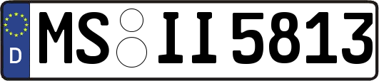 MS-II5813