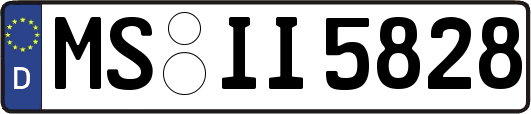 MS-II5828