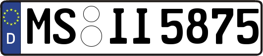 MS-II5875