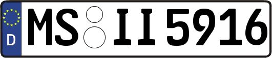 MS-II5916