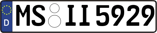 MS-II5929