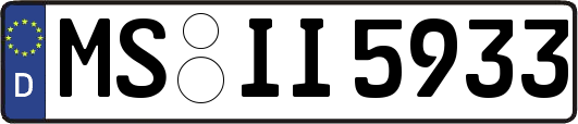 MS-II5933