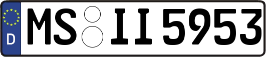 MS-II5953
