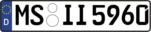 MS-II5960