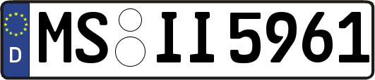 MS-II5961
