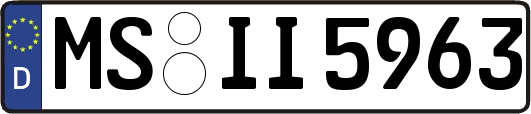 MS-II5963