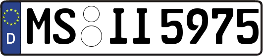 MS-II5975