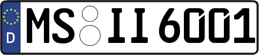 MS-II6001