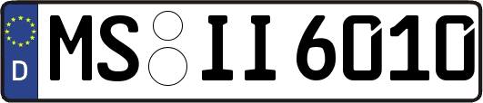 MS-II6010