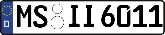 MS-II6011