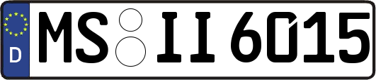 MS-II6015