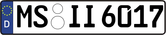 MS-II6017