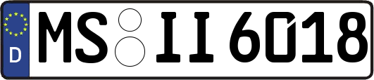 MS-II6018