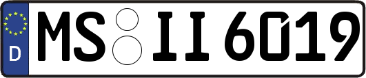 MS-II6019