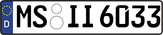 MS-II6033