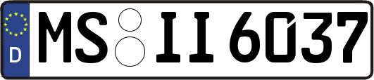 MS-II6037