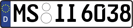 MS-II6038