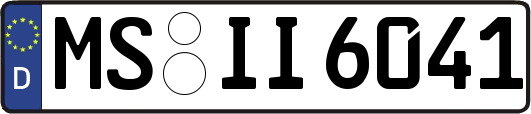 MS-II6041