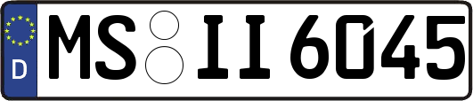 MS-II6045