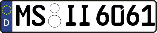MS-II6061