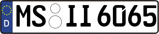 MS-II6065