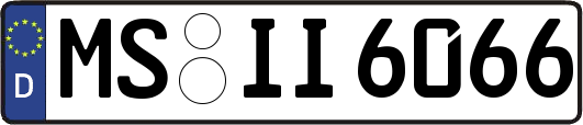 MS-II6066