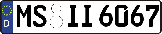MS-II6067