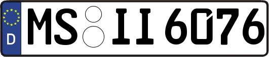 MS-II6076