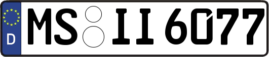 MS-II6077