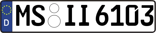 MS-II6103