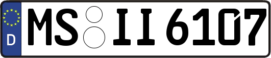 MS-II6107