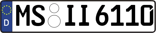 MS-II6110