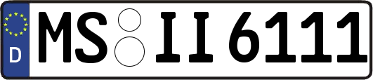MS-II6111