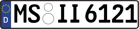 MS-II6121