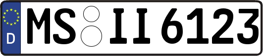 MS-II6123