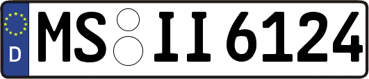 MS-II6124