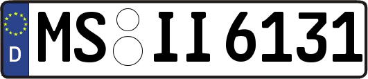 MS-II6131