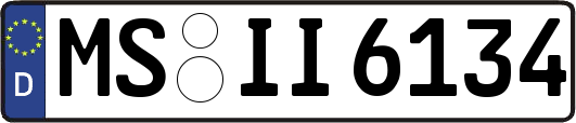 MS-II6134