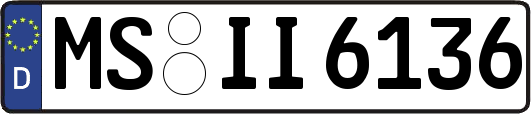 MS-II6136