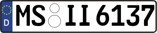 MS-II6137