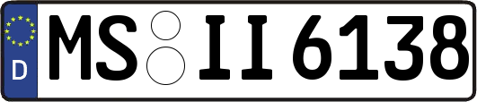MS-II6138