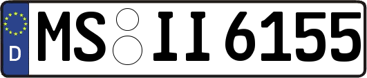 MS-II6155