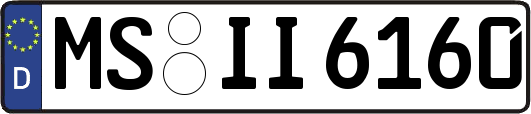 MS-II6160