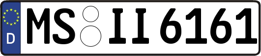 MS-II6161
