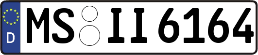 MS-II6164