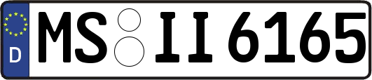 MS-II6165
