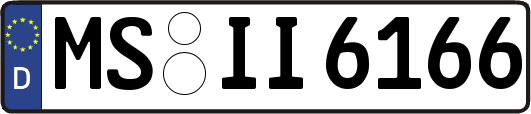 MS-II6166