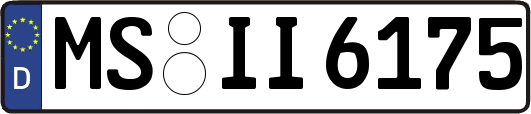 MS-II6175