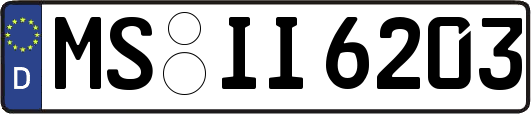 MS-II6203
