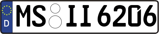 MS-II6206